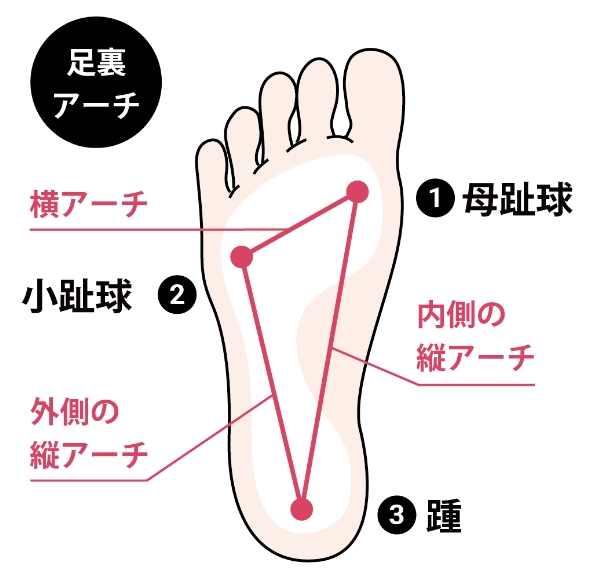 足裏のアーチの説明図