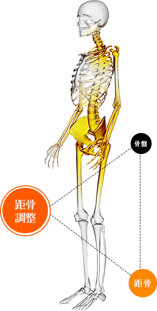 距骨調整コース 名古屋市 中川区の足治療の専門院 はるた整骨院