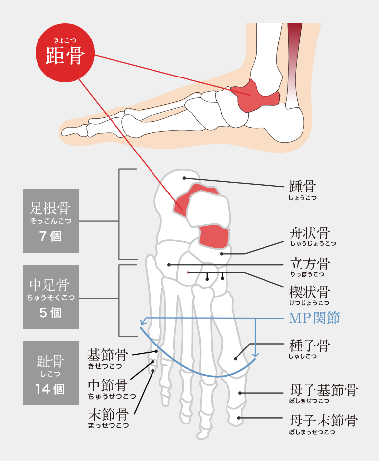 目黒区 大田区の足の痛みと外反母趾治療の専門院 距骨サロン洗足店