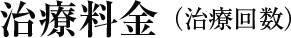 治療料金(治療回数)