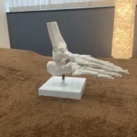 足の裏が硬いVS足の裏が柔らかい