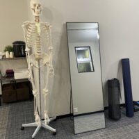 意外と知られていない骨の“役割“